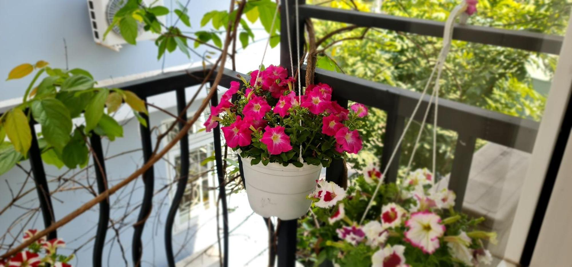 Spring Light Home ホーチミン市 エクステリア 写真